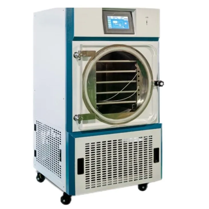 Compact Freeze Dryer For Small-Scale Needs
